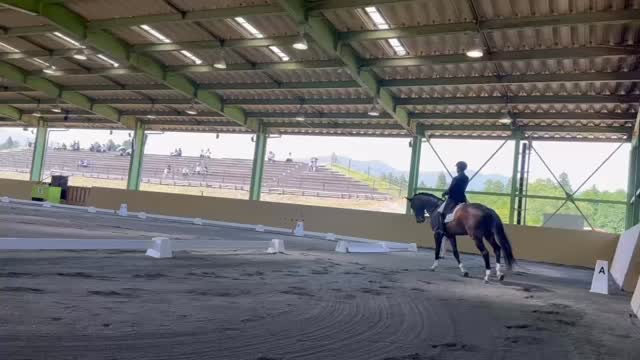 御殿場市馬術スポーツセンターにて行われています