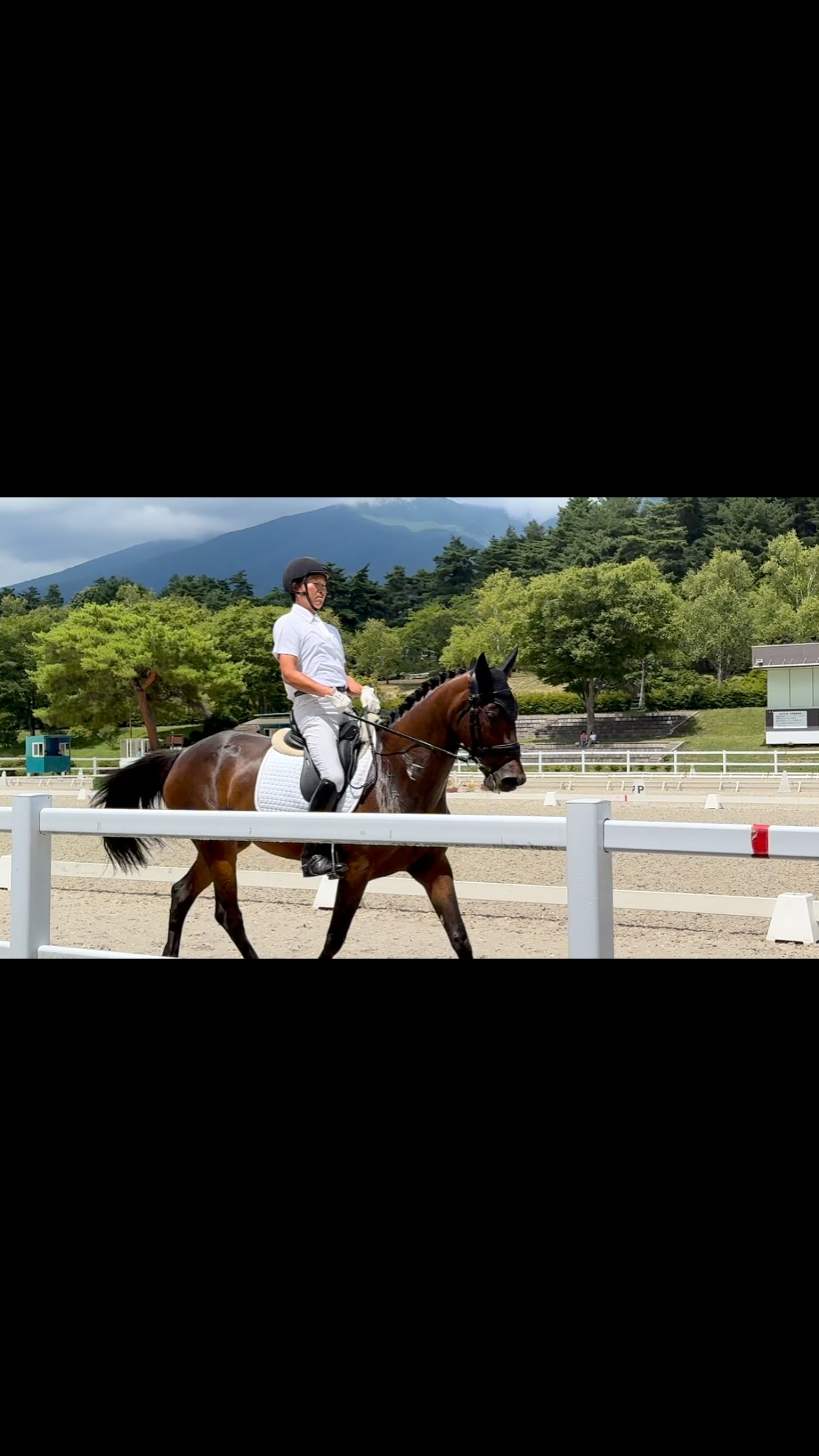 ESJ サマードレッサージュ