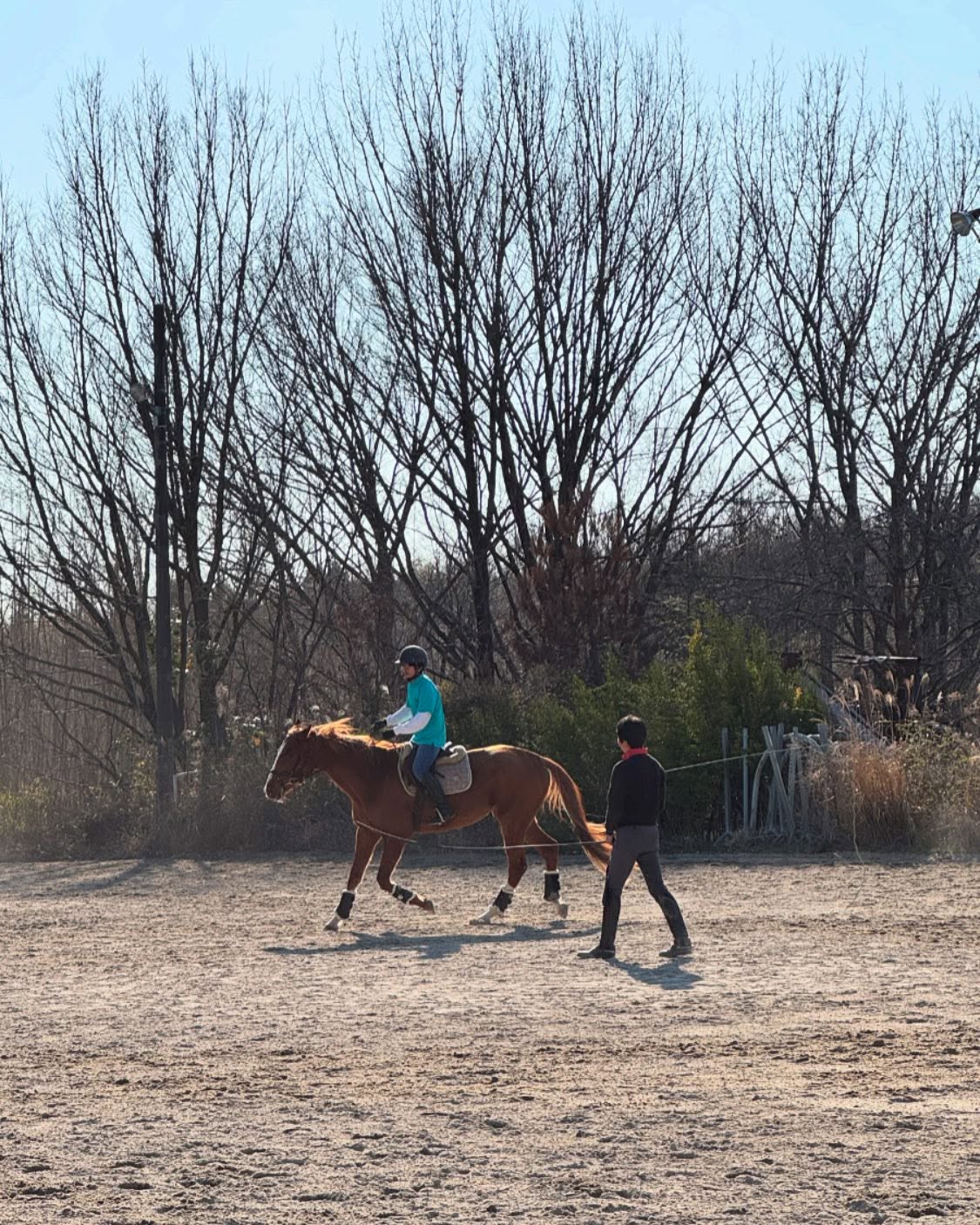 北海道大学　馬術部　の学生さんが