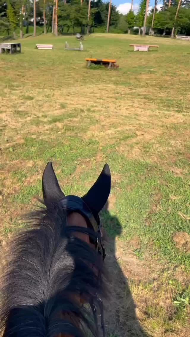 本日より10頭の馬たちと、小淵沢へ大移動
