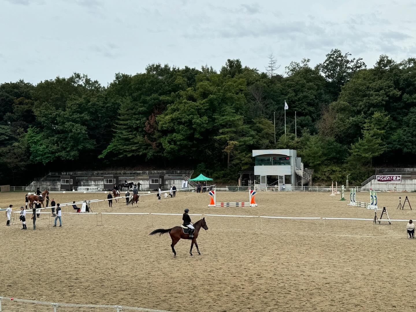 わかしゃち記念東海馬術大会に参加しています！