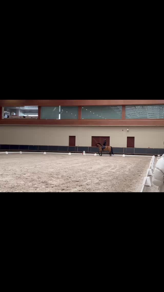 馬場馬術　アジア大会　国内強化合宿に