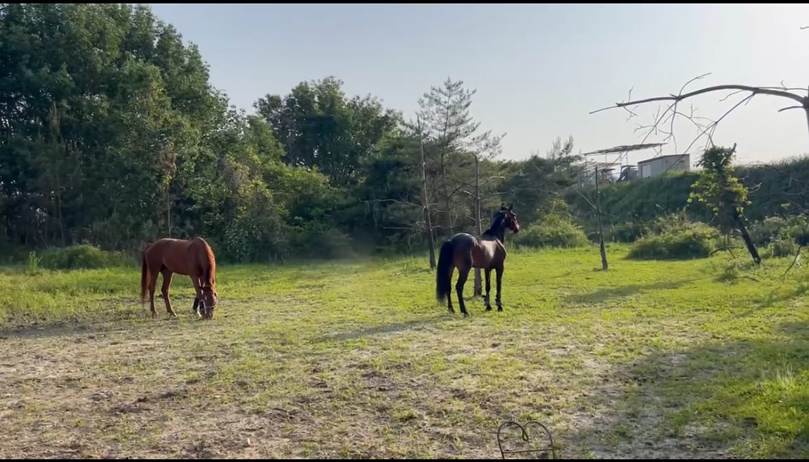 おはようございます！