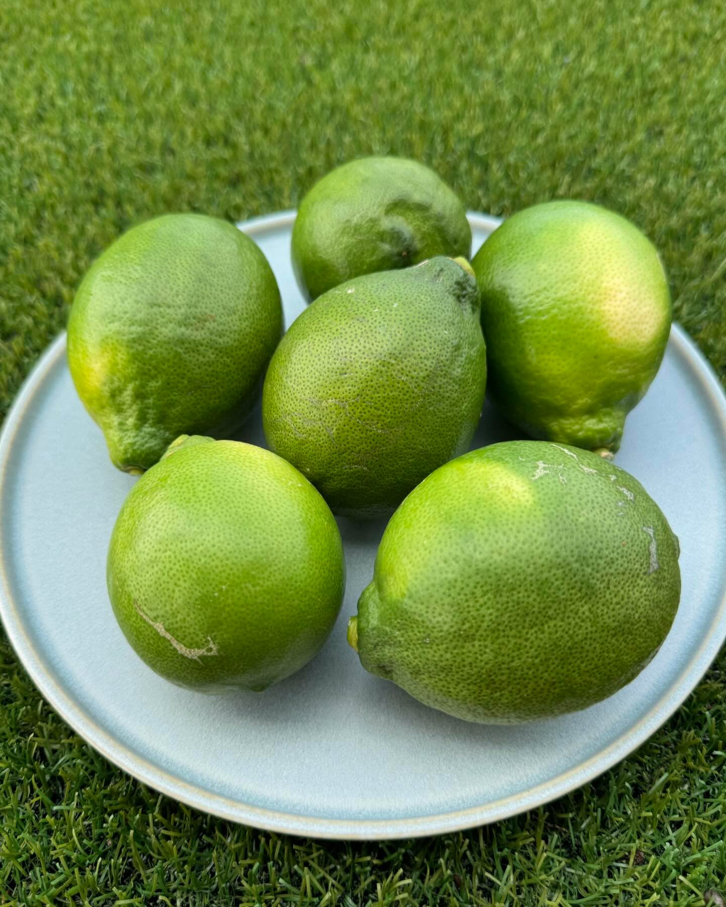 先日、馬糞堆肥をお譲りしているファームさんで育ったグリーンレ