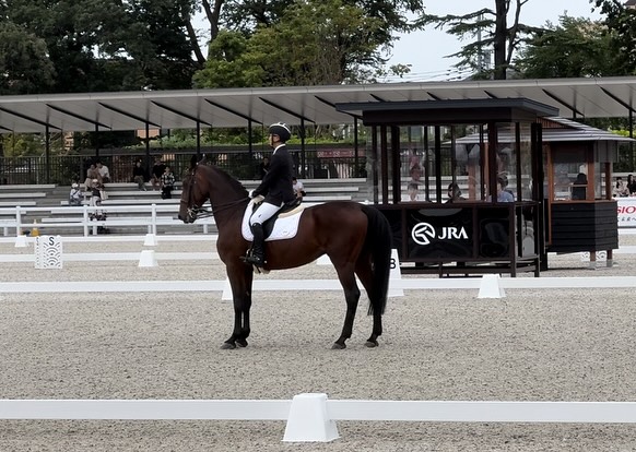 笙乃介くん•ザ　デューク　オブ　カヴァン