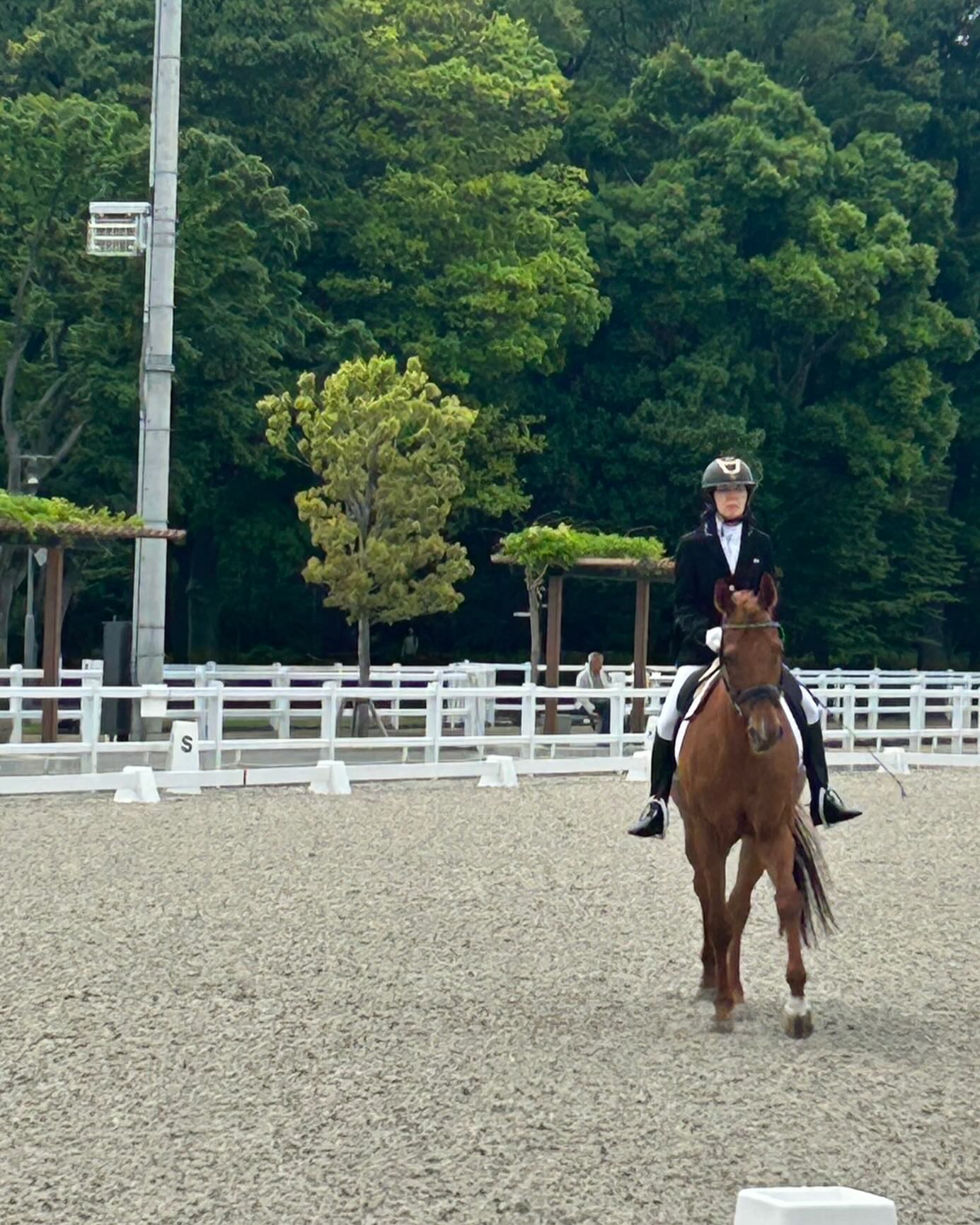 東京都馬術大会に参加しています！