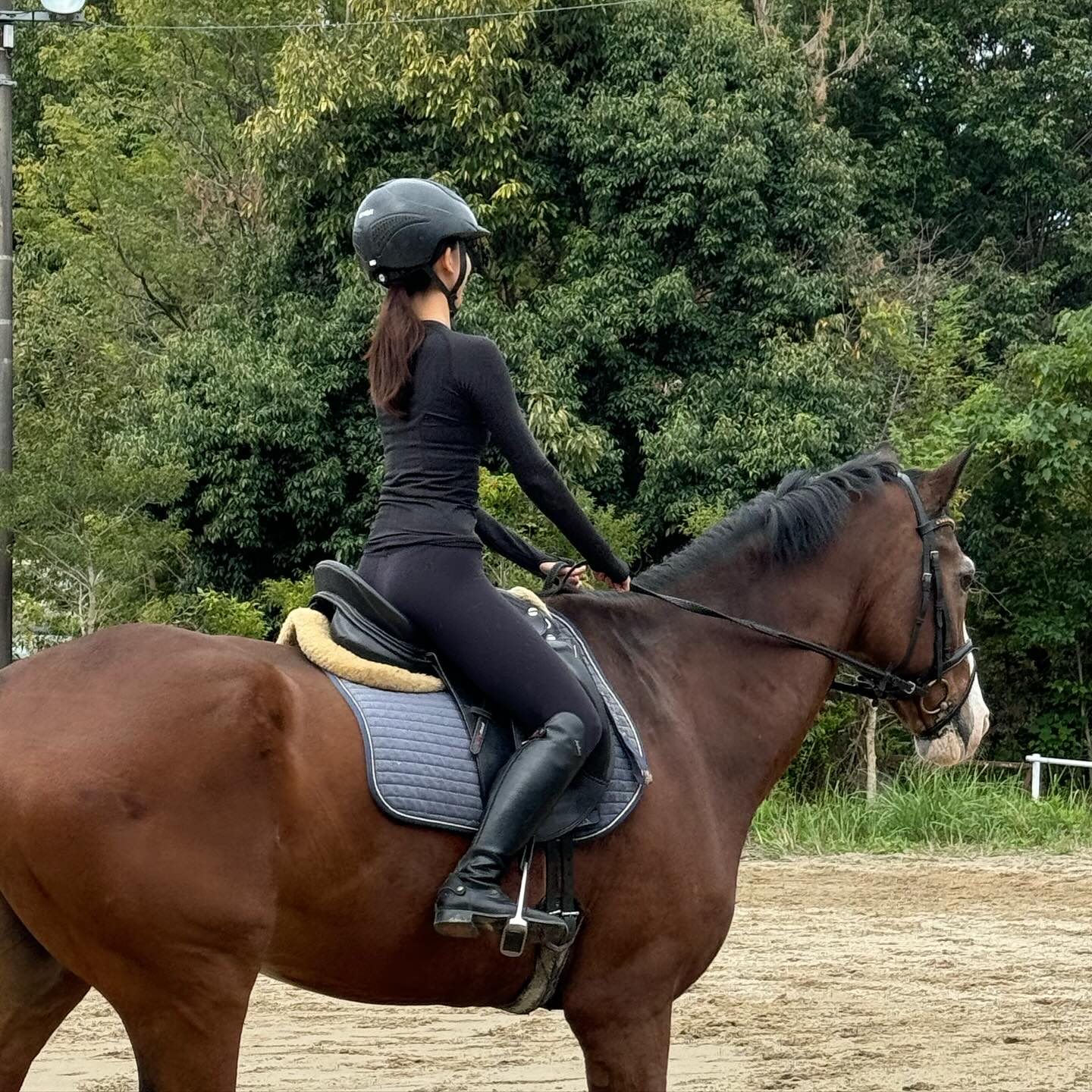 おかげさまで、ビジターレッスン、体験レッスンのご予約をたくさ